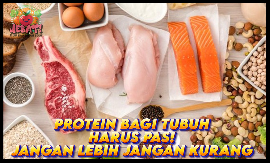 Protein Bagi Tubuh