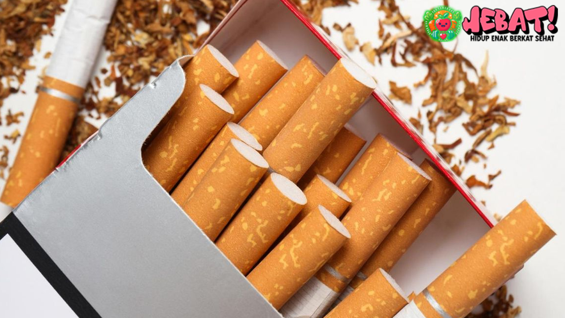 Rokok atau Telur? Biaya Rokok Tiga Kali Lipat Lebih Besar